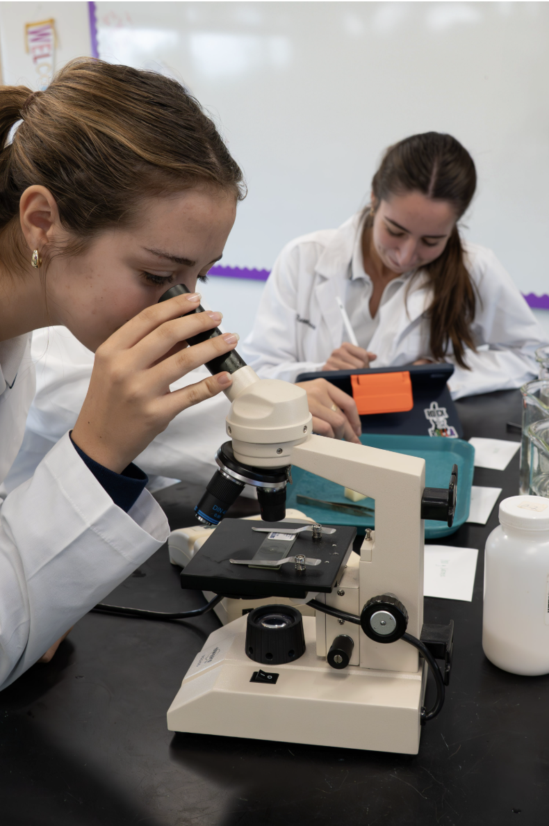 Screenshot 2025-11-03 at 1.13.28 PM